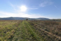 Prírodná pamiatka Kožíkov vrch