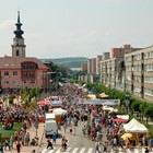 Mestská polícia Myjava upozorňuje: Festival obmedzí dopravu