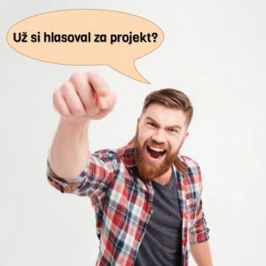 Už ste hlasovali za niektorý z myjavských projektov?
